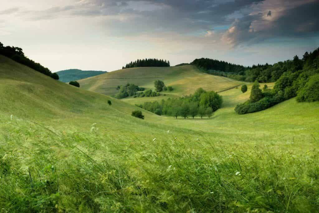 Gegenwind-Hochbuehl-Owingen-Bodensee-Windkraft-claudio-testa--SO3JtE3gZo-unsplash Gegenwind Hochbuehl Owingen Bodensee Windkraft claudio testa SO3JtE3gZo unsplash