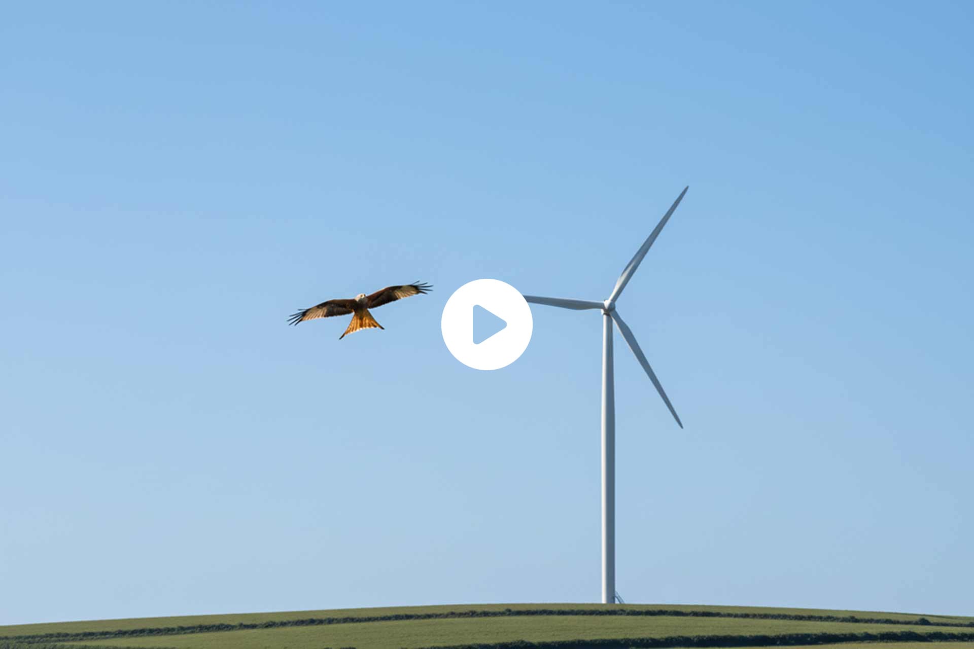 HOME 1 ZDF – Streitfall Windenergie